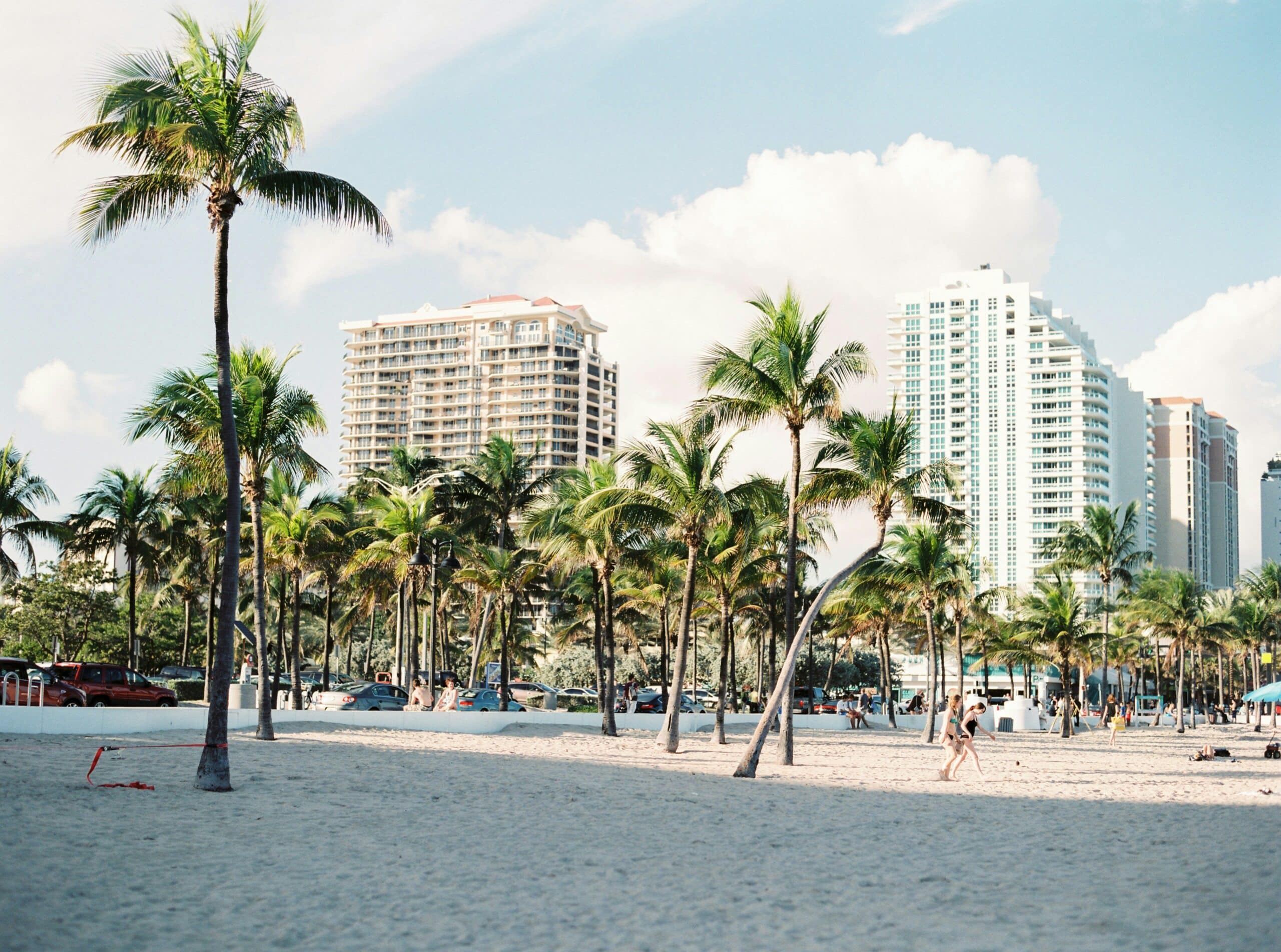 aurora-kreativ-UN4cs4zNCYo-unsplash Palm trees and buildings