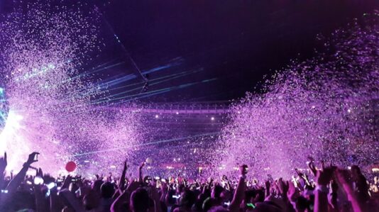 people partying in a concert