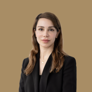 Novika's 2026 portrait